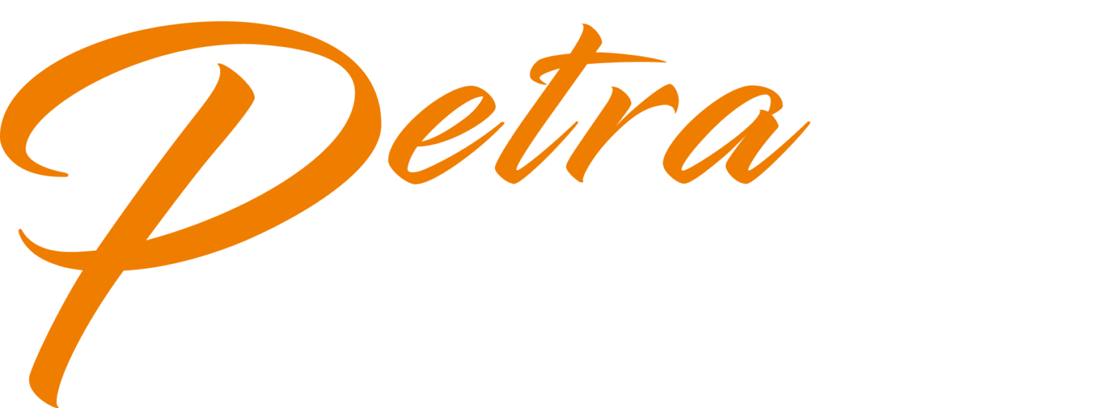 petra_shisha_lounge_dresden_digital_design_brand_building_coloriert_beitrag_design_story_design_digitales_design